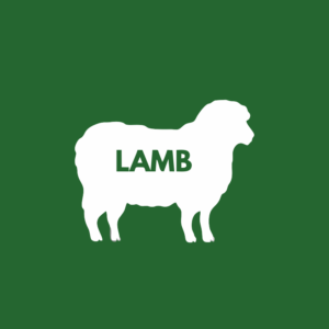 Lamb